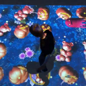 Interactief Hinkelen